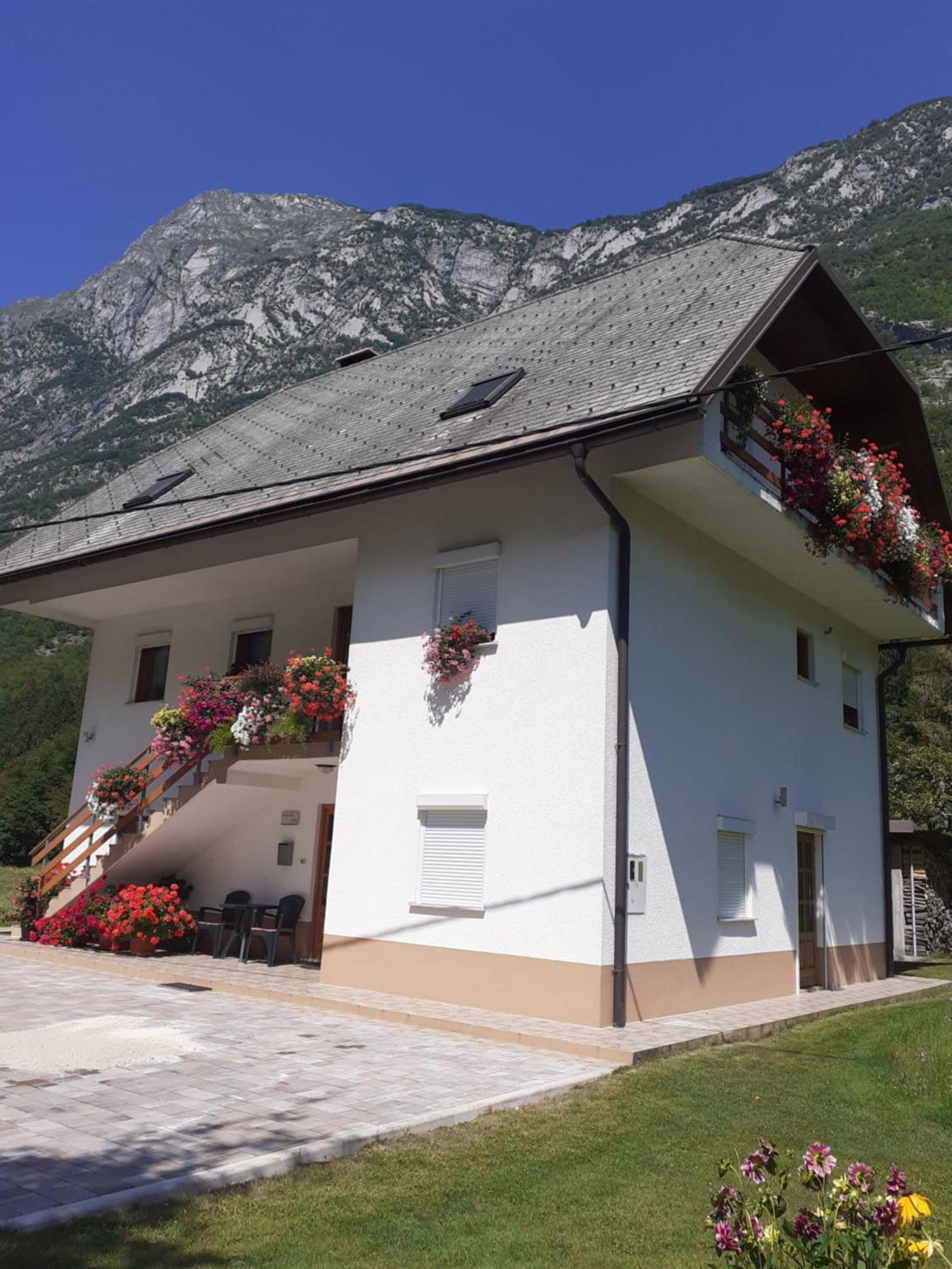 Apartma Pod Rozem Soca Exterior photo
